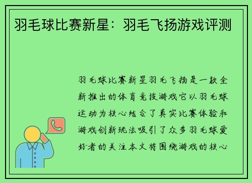 羽毛球比赛新星：羽毛飞扬游戏评测